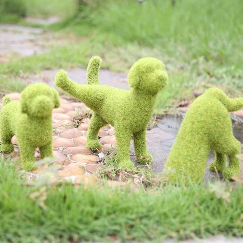 Miniatuur 6