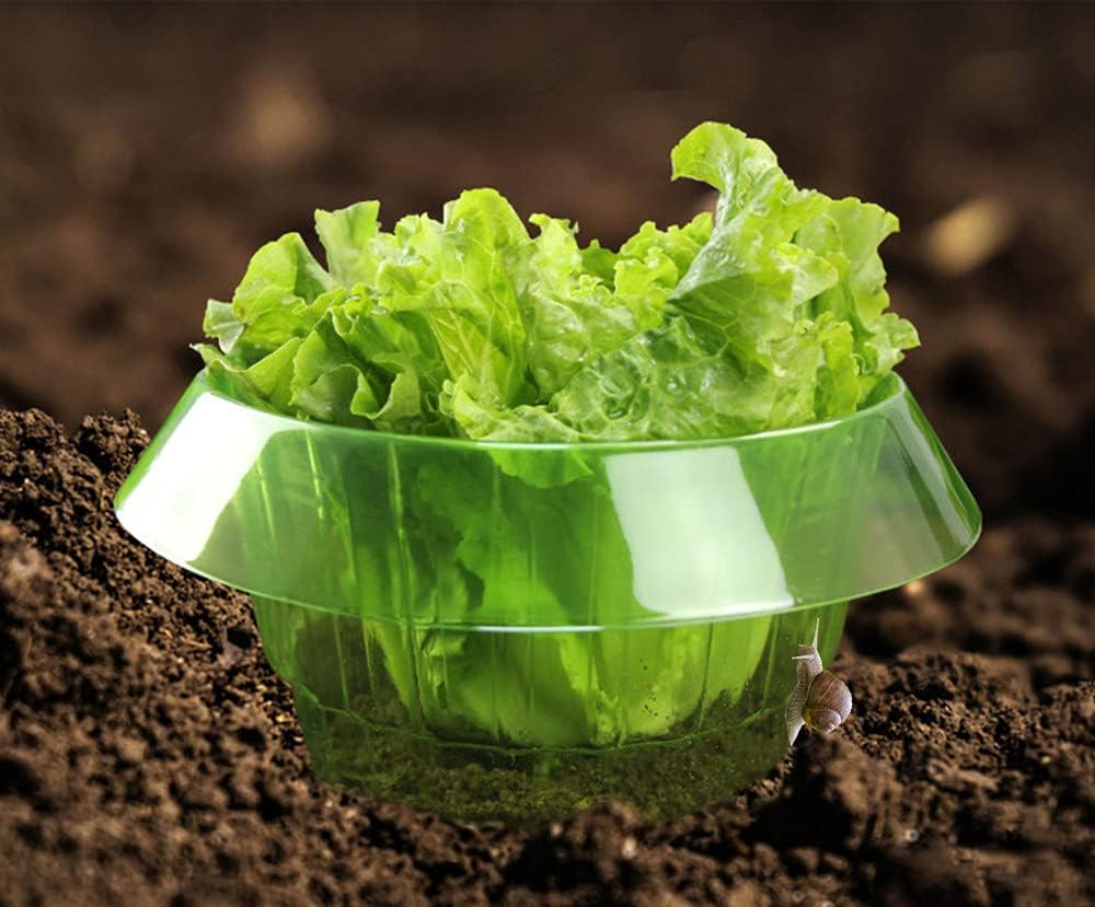 Miniatuur 4