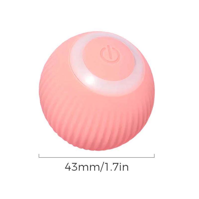 Miniatuur 3