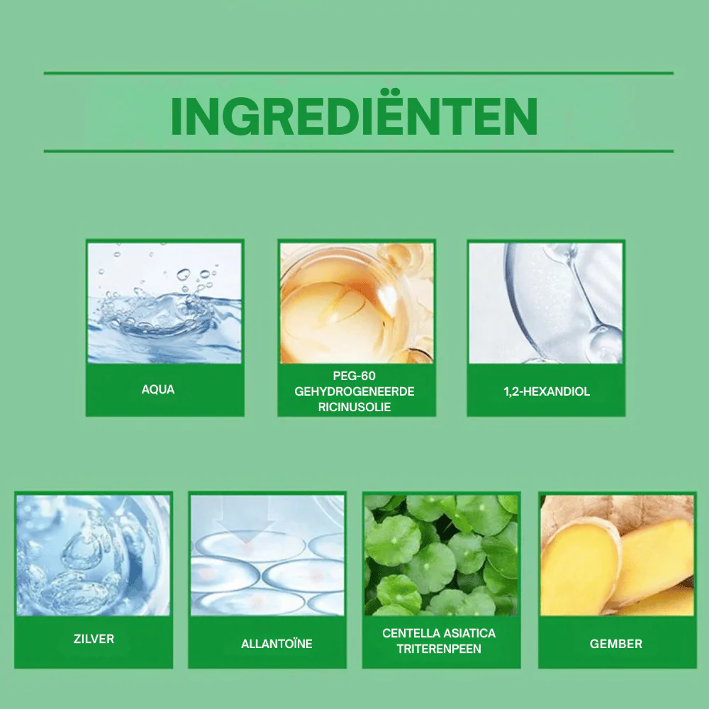 Miniatuur 4