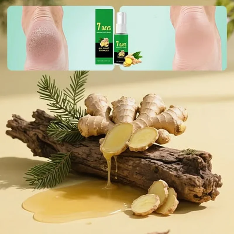 Miniatuur 5