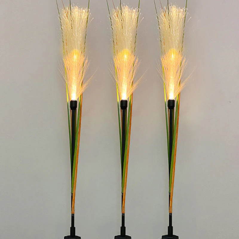 Miniatuur 4