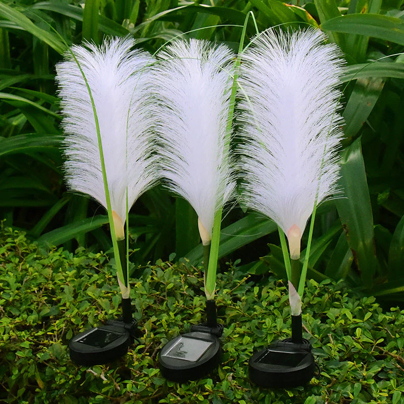 Miniatuur 7