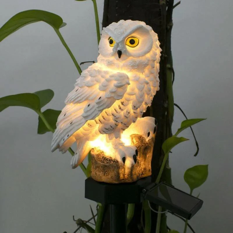 Miniatuur 4