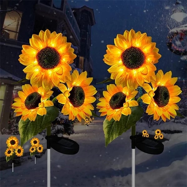 Miniatuur 3
