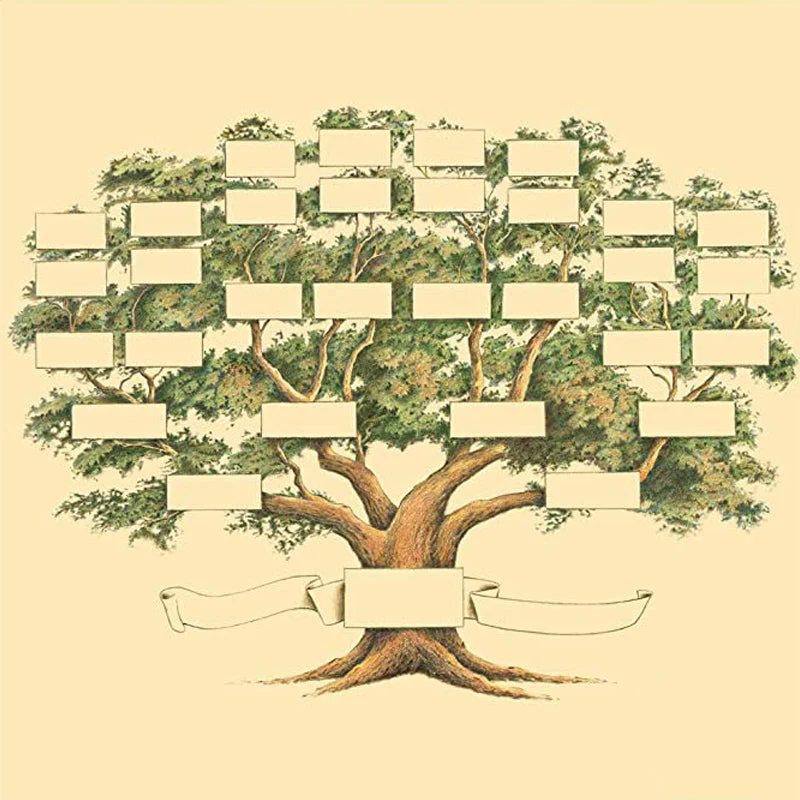 Miniatuur 11