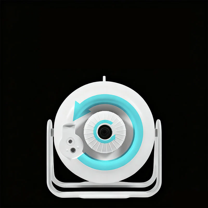 Miniatuur 11