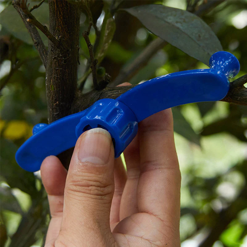 Miniatuur 4