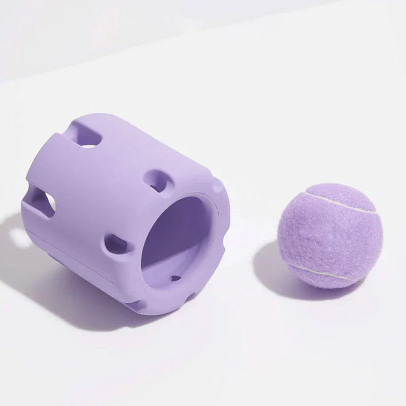 Miniatuur 5