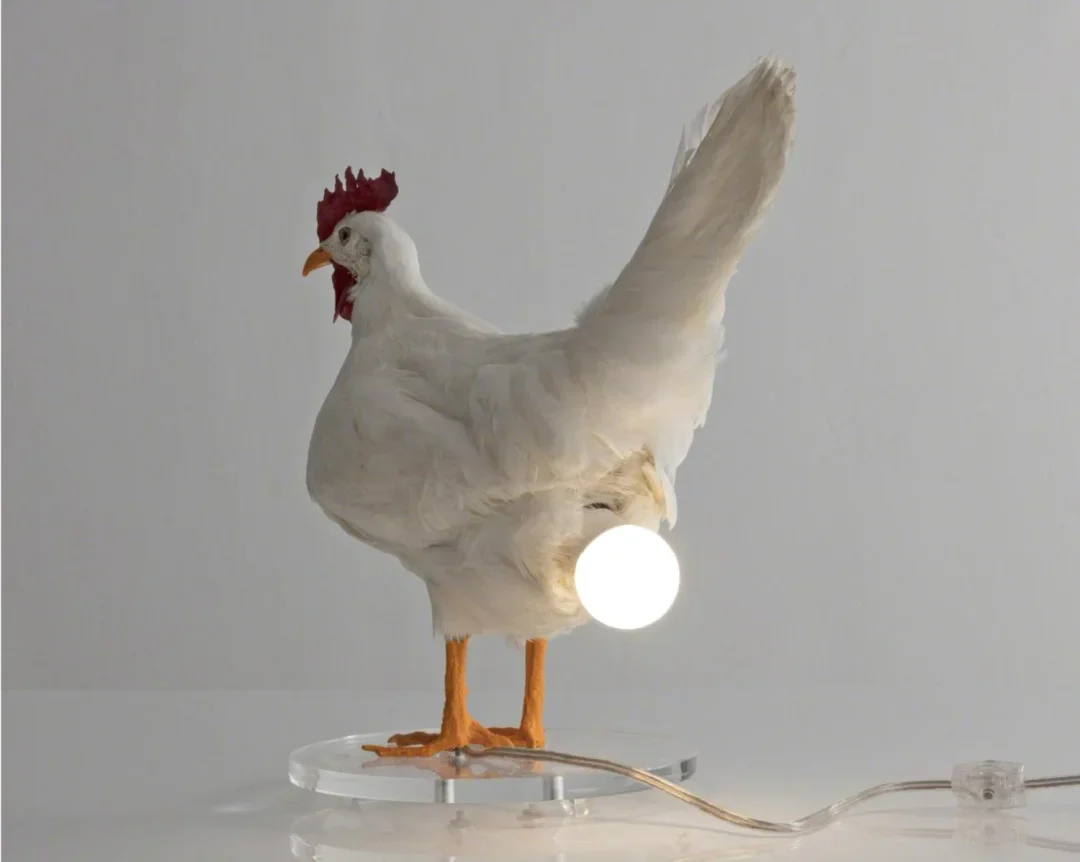 Miniatuur 5