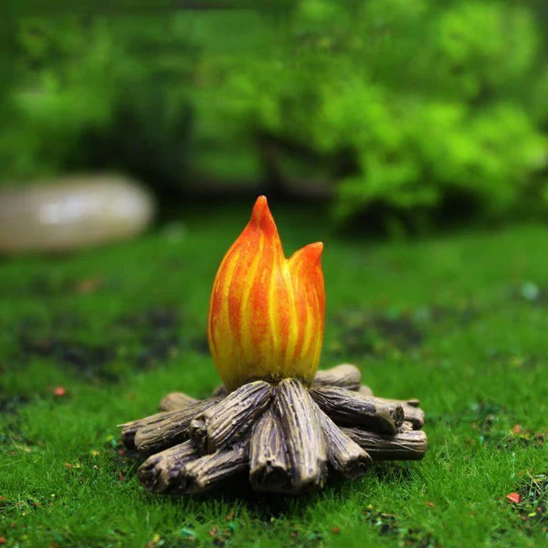 Miniatuur 5