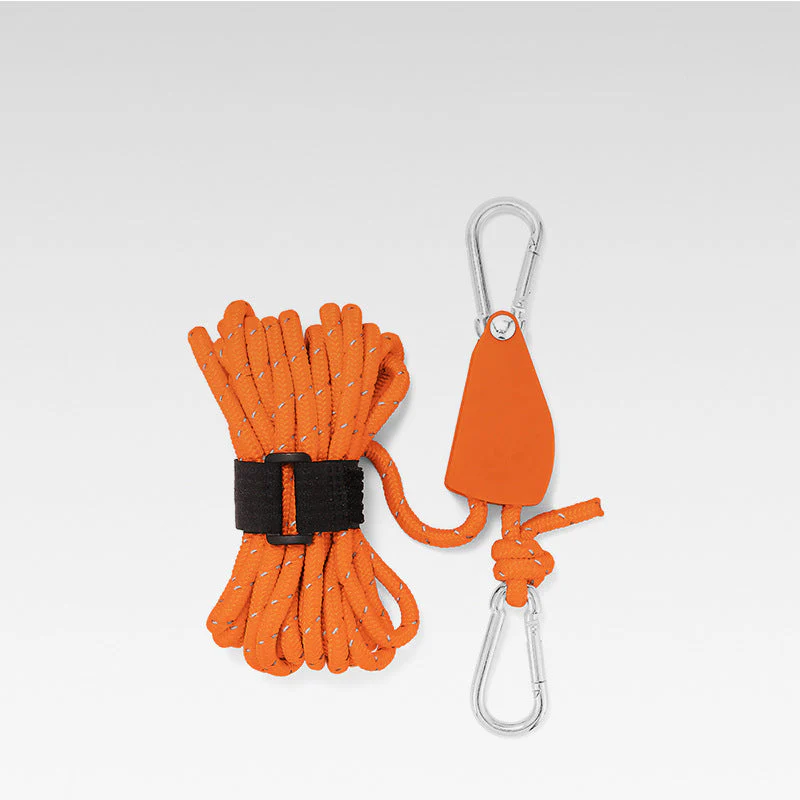 Miniatuur 31
