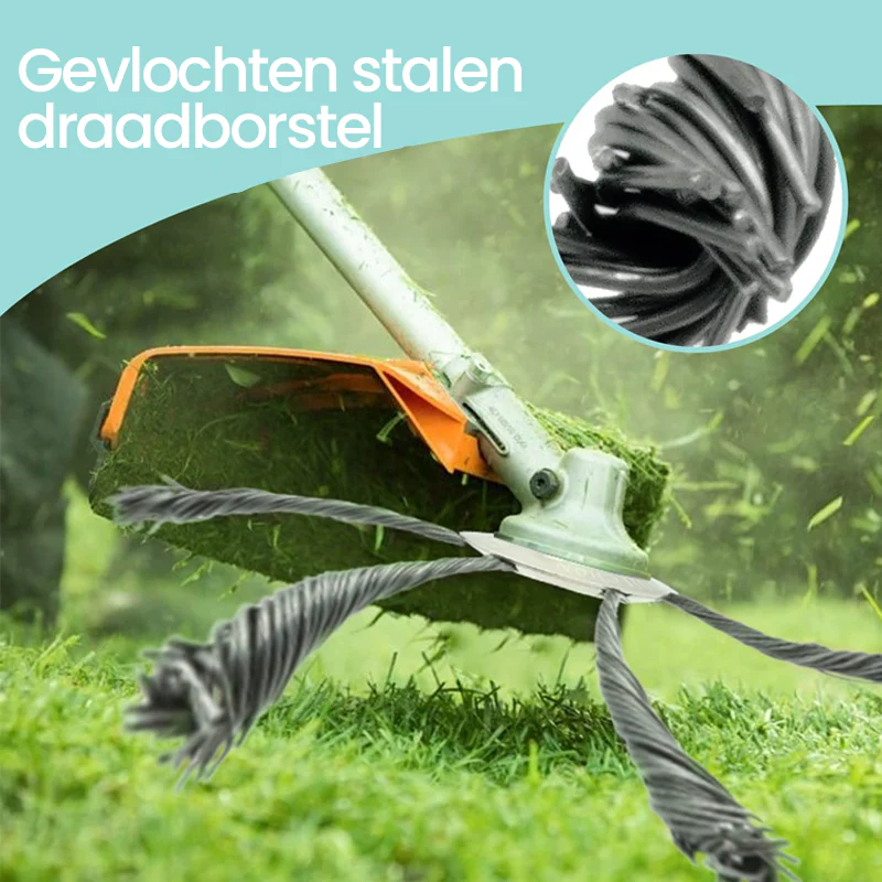 Miniatuur 3