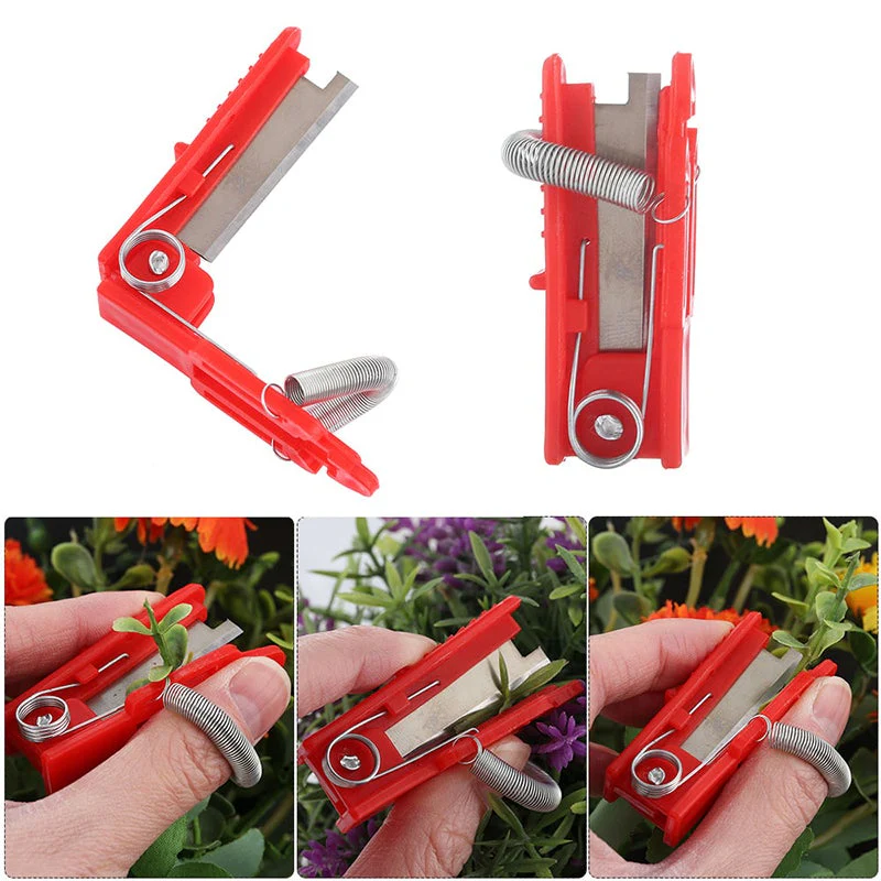 Miniatuur 3