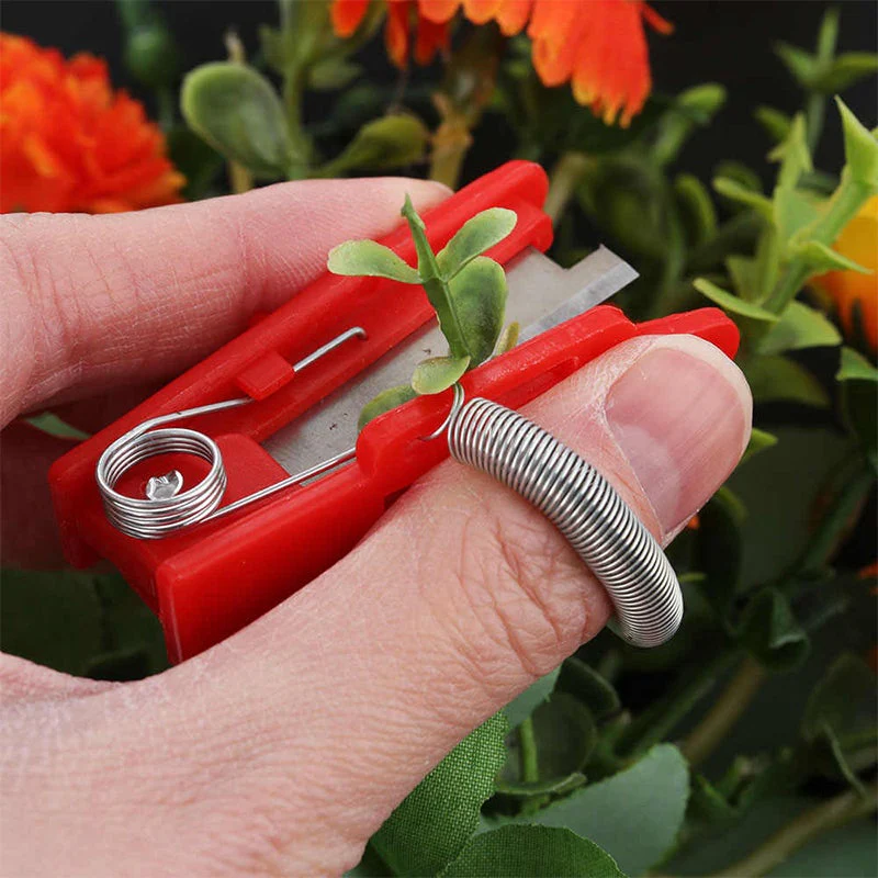 Miniatuur 4