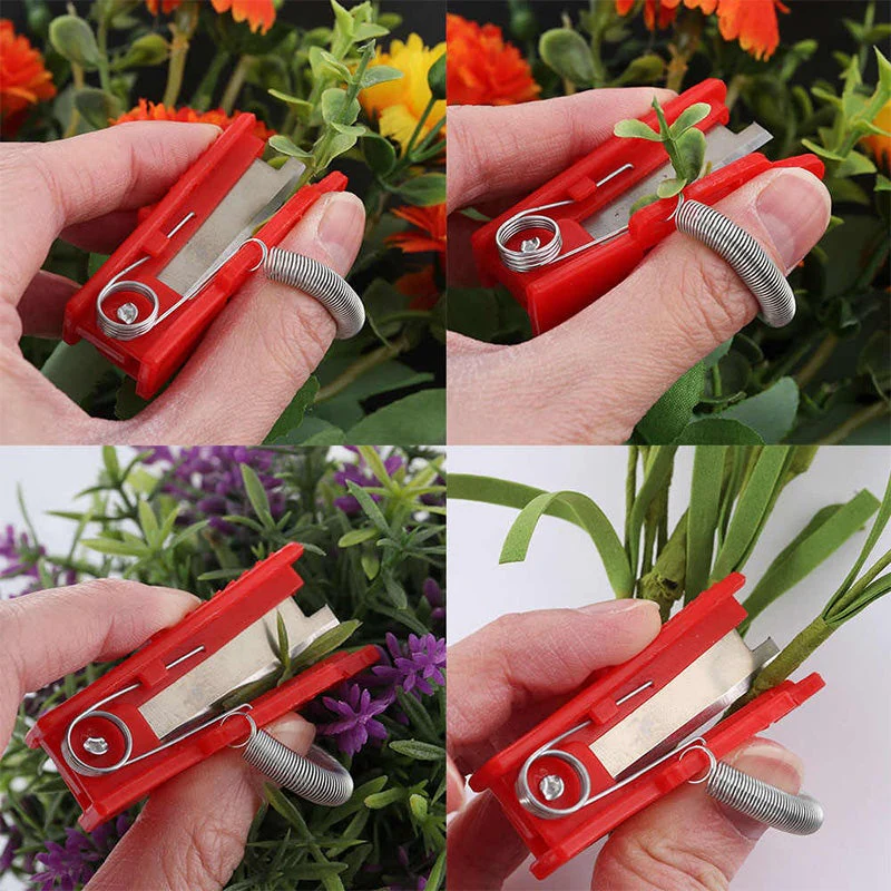 Miniatuur 5