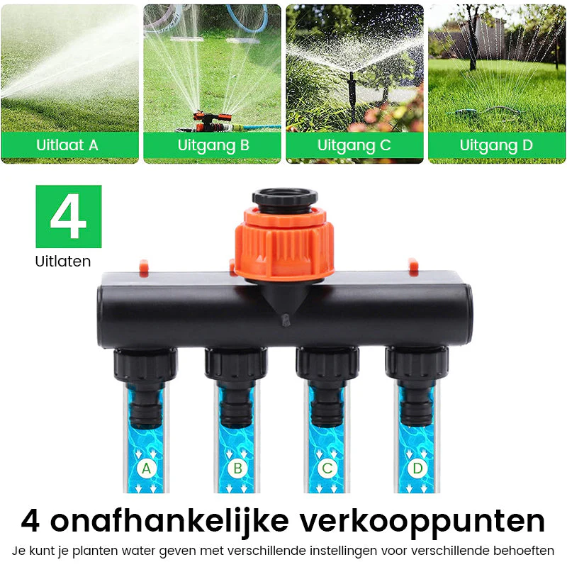 Miniatuur 12