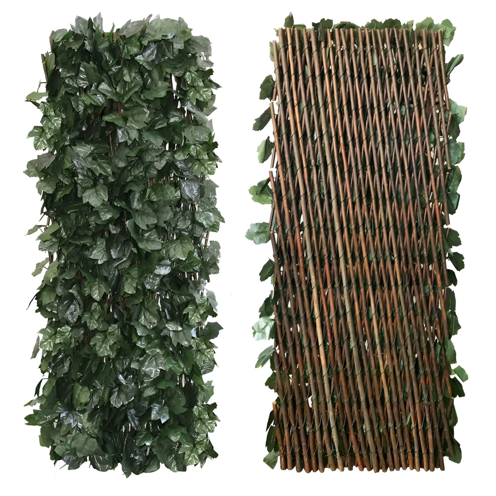 Miniatuur 15