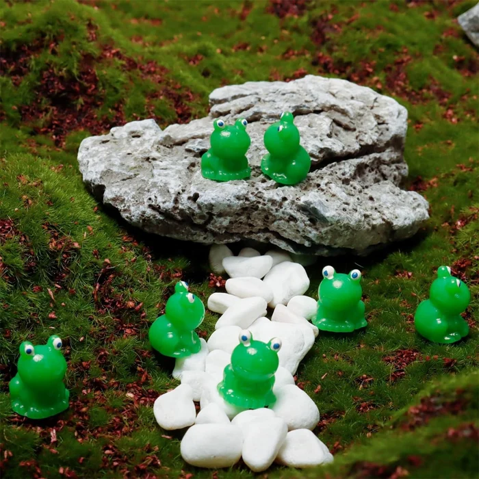 Miniatuur 5
