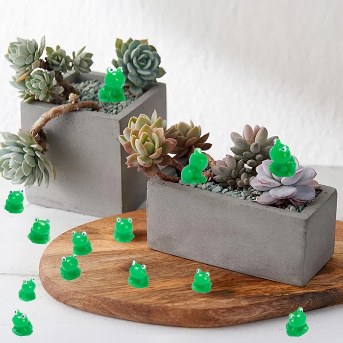 Miniatuur 6