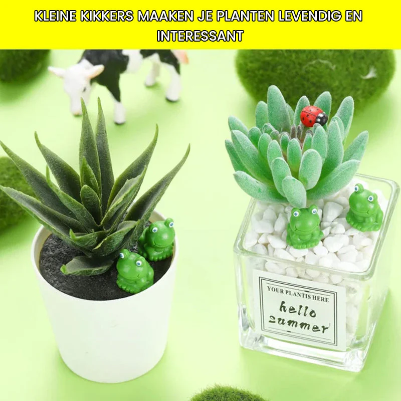 Miniatuur 7