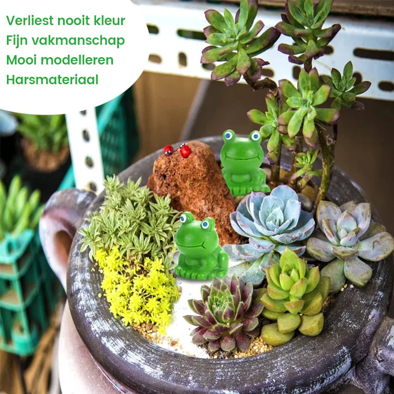 Miniatuur 8