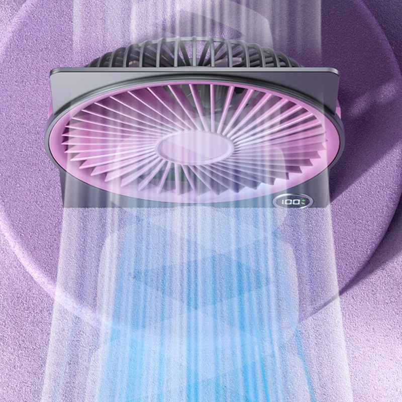 Miniatuur 5