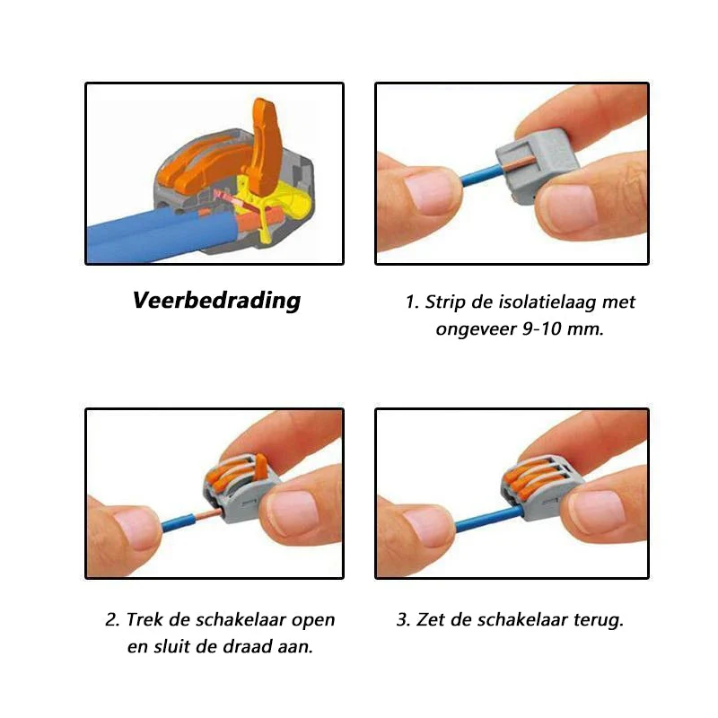 Miniatuur 6