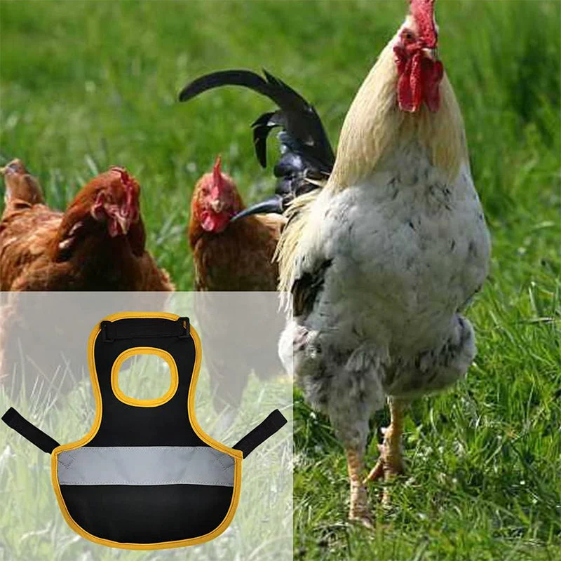 Miniatuur 7