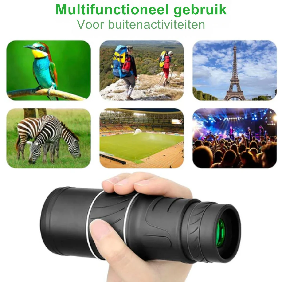 Miniatuur 3
