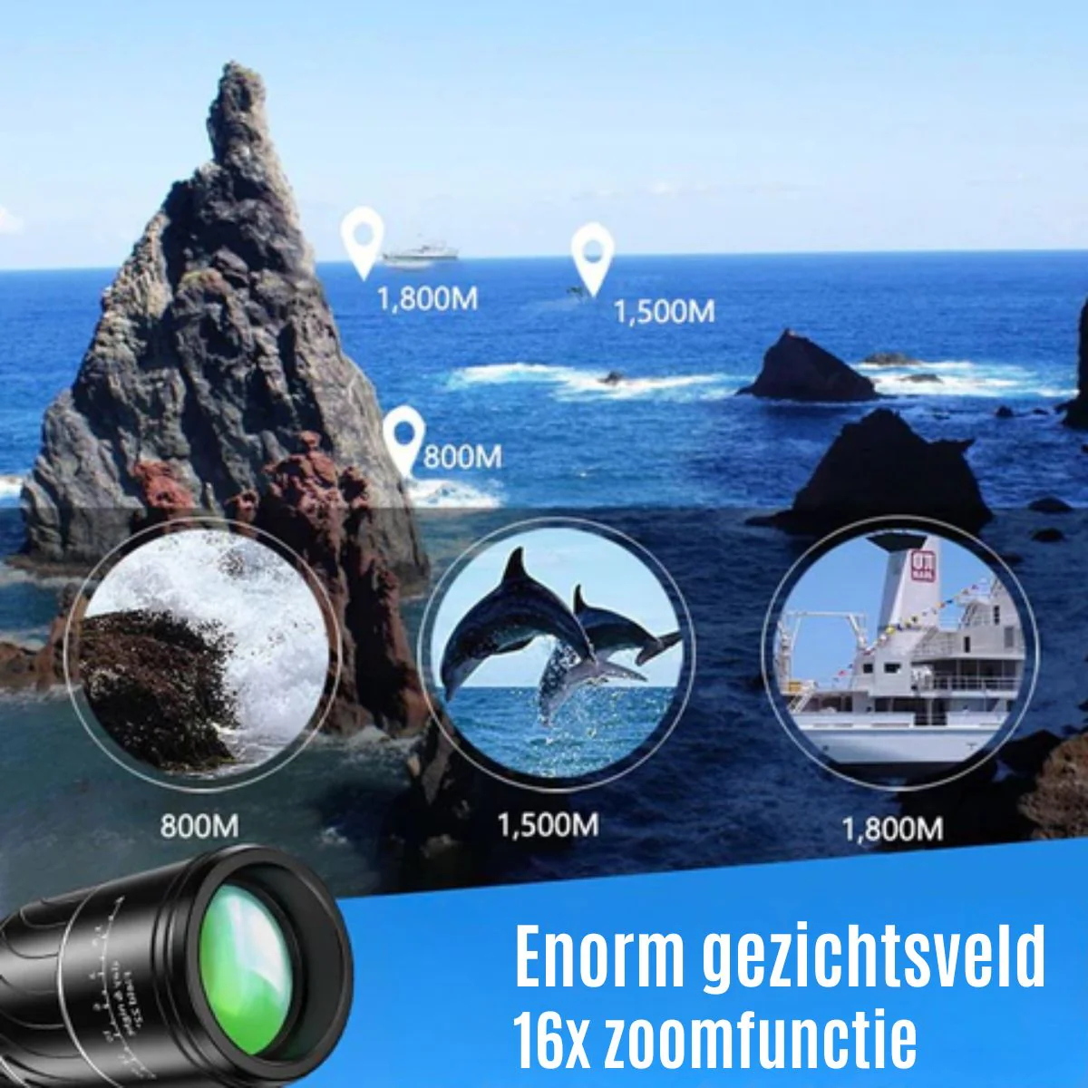 Miniatuur 4