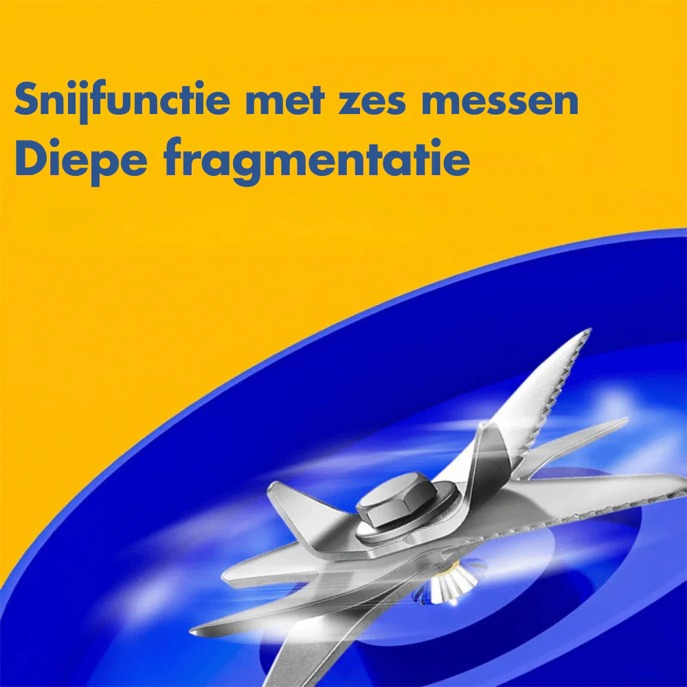 Miniatuur 6