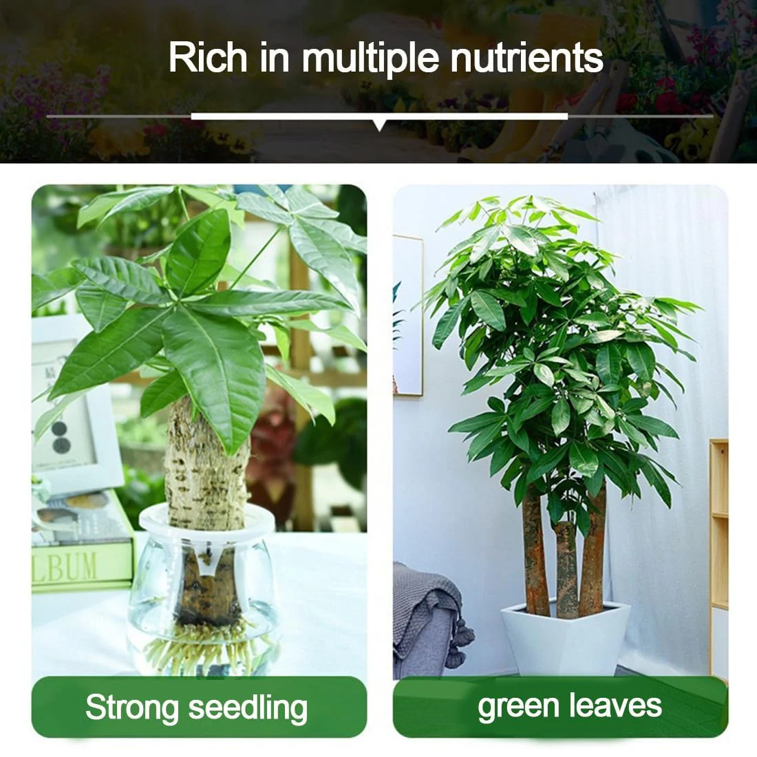 Miniatuur 3