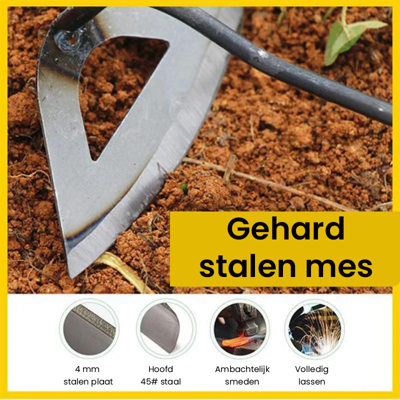 Miniatuur 8