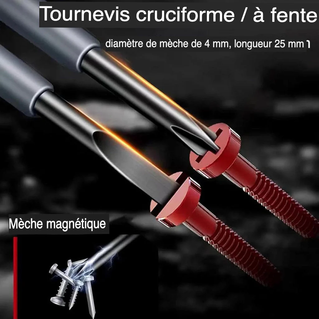Miniatuur 3