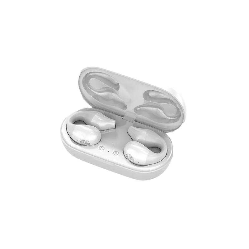 Miniatuur 17