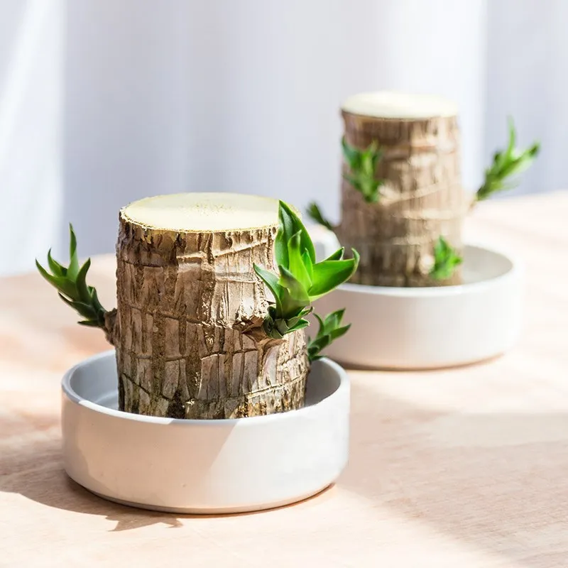 Miniatuur 2