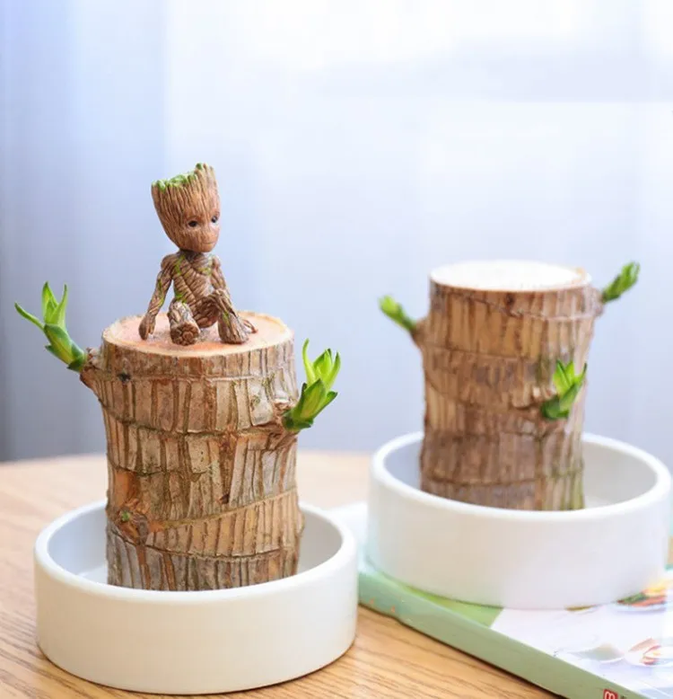 Miniatuur 4