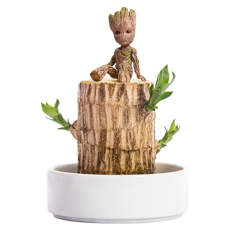 Miniatuur 5
