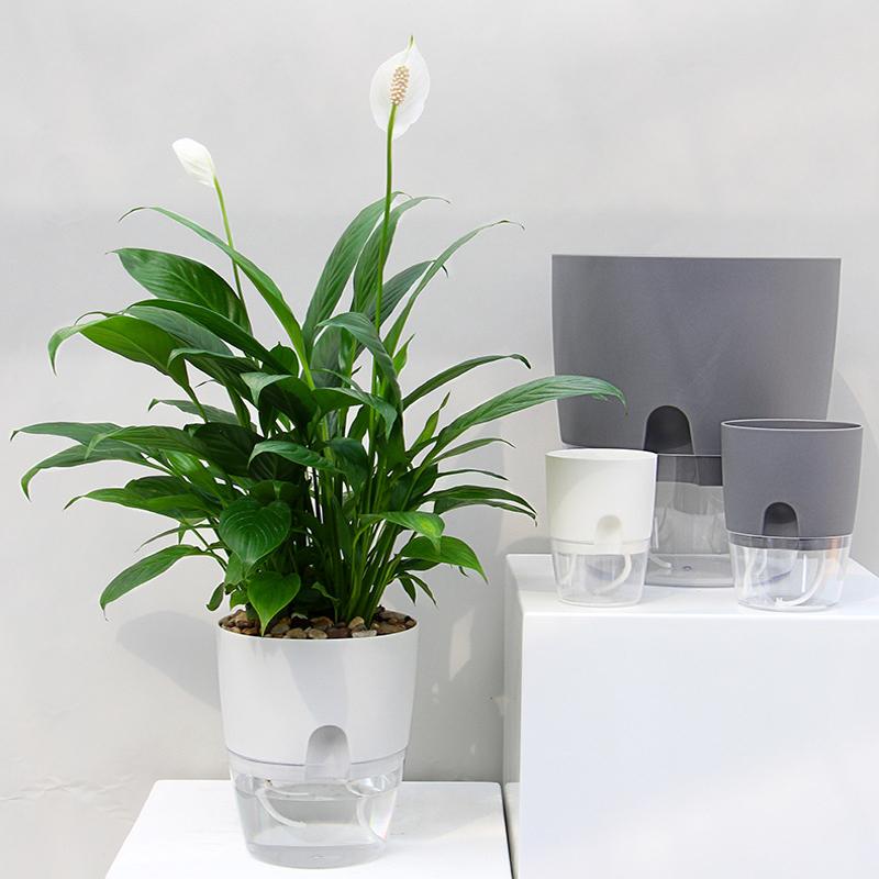 Miniatuur 2