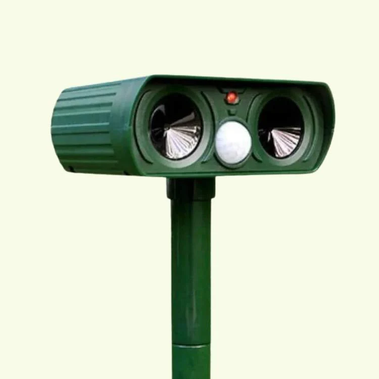 Miniatuur 2